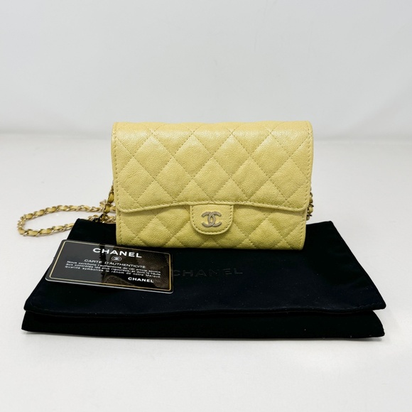 Chanel Iridescent Mini Wallet on Chain - Picture 1 of 8